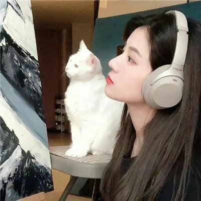 我在顶峰等你